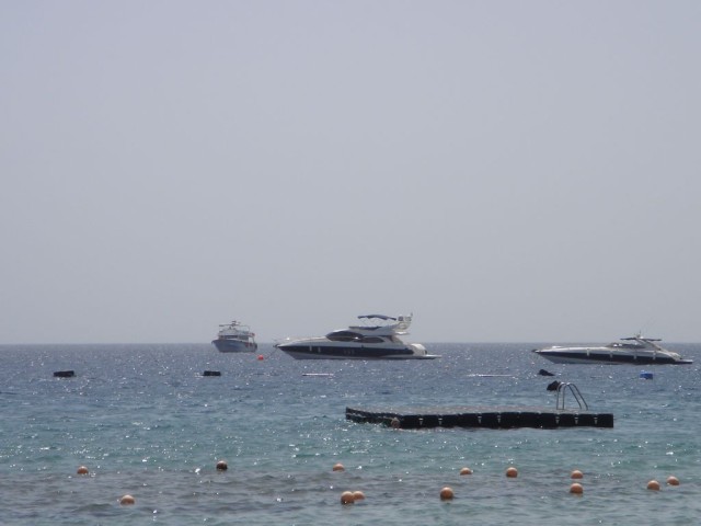 DSC05913.JPG