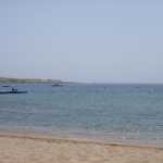 DSC05914.JPG