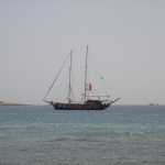 DSC05915.JPG