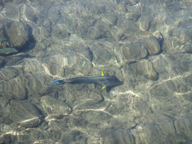 DSC05917.JPG