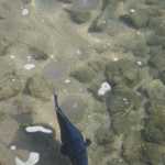 DSC05927.JPG
