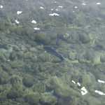 DSC05928.JPG