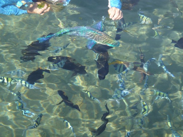 DSC05931.JPG