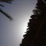 DSC05946.JPG