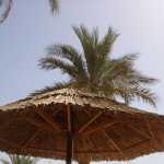 DSC05948.JPG