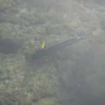 DSC05955.JPG