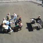 A hard days work in the office