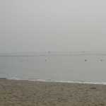DSC08168.JPG