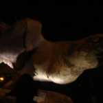 DSC05504.JPG
