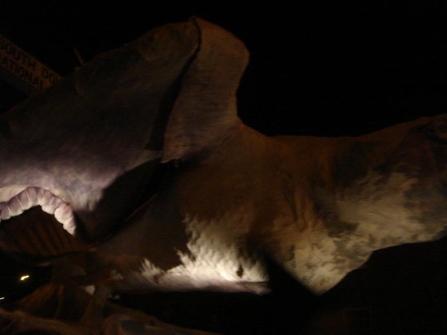 DSC05505.JPG
