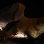 DSC05505.JPG