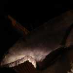 DSC05506.JPG