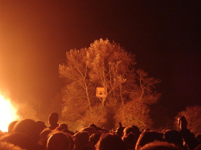 DSC05570.JPG