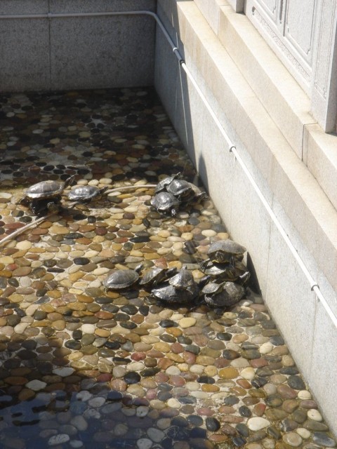 DSC08024.JPG