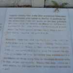 DSC08042.JPG