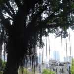 DSC08067.JPG