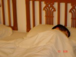 After counting it's all too much, Aaron requires a quick nap....