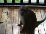 Hello again, are you still taking pictures of me?