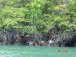 Rocky shores...