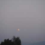 DSC03949.JPG