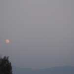 DSC03950.JPG