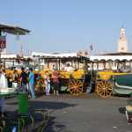 Plenty of orange traders were in the "Djemaa el-Fna" - heart of the city!