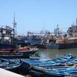 More fishing boats within the harbour!