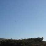 The birds in flight - I said don't ask me their name - I really don't know! :)
