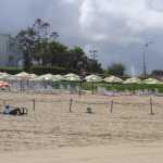 The beach volleyball caught where I tried to play the game (I was crap, but improving as each game went along!)