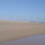 Another walk this time back southwards.  A magical line in the sand signified the security border of the King's palace.  You can just make it out!