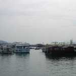 DSC08110.JPG