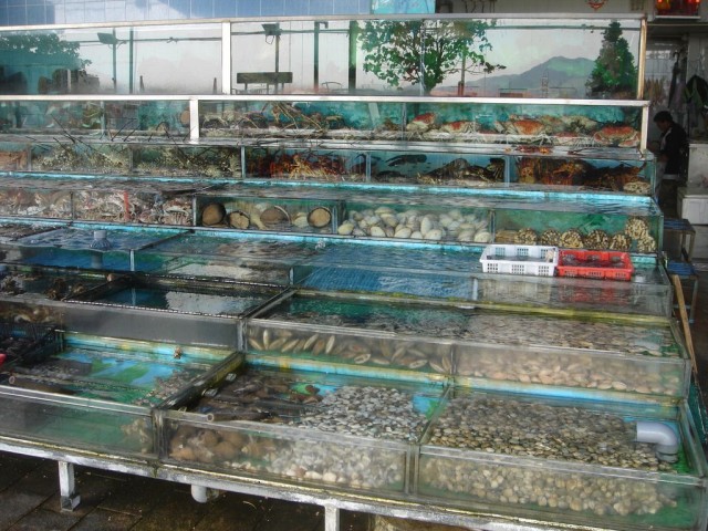 DSC08113.JPG