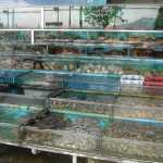 DSC08113.JPG