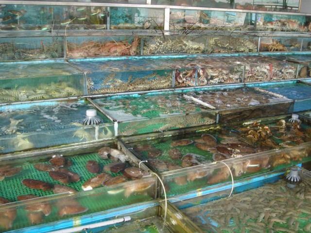 DSC08114.JPG