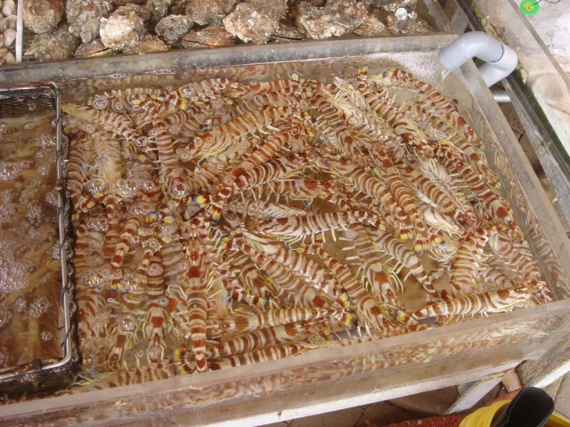 DSC08120.JPG