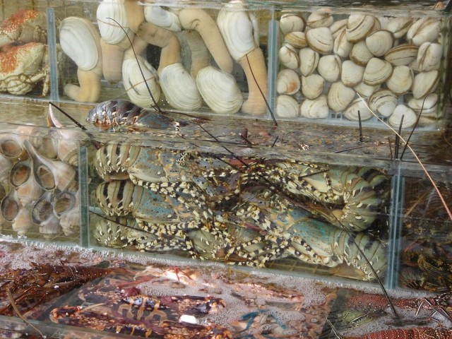DSC08121.JPG