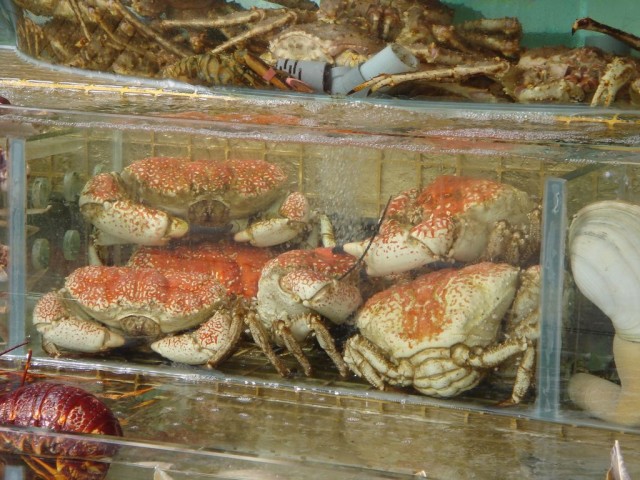 DSC08122.JPG