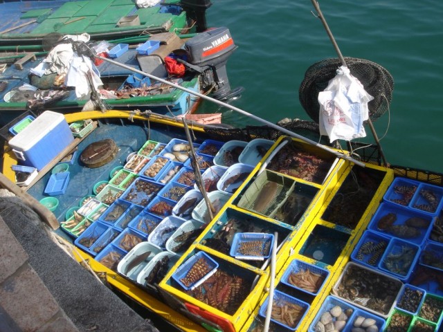DSC08131.JPG