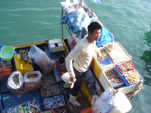 DSC08133.JPG