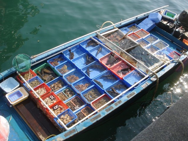 DSC08135.JPG