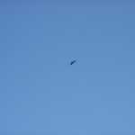 DSC08141.JPG