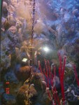 More fishy business