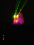 The 'Malion' lights up....