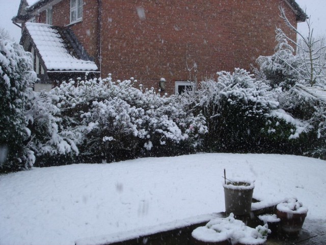 DSC05878.JPG