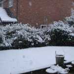 DSC05878.JPG