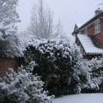 DSC05879.JPG