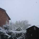 DSC05880.JPG