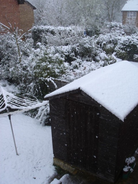 DSC05884.JPG