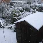 DSC05884.JPG
