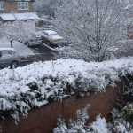 DSC05885.JPG